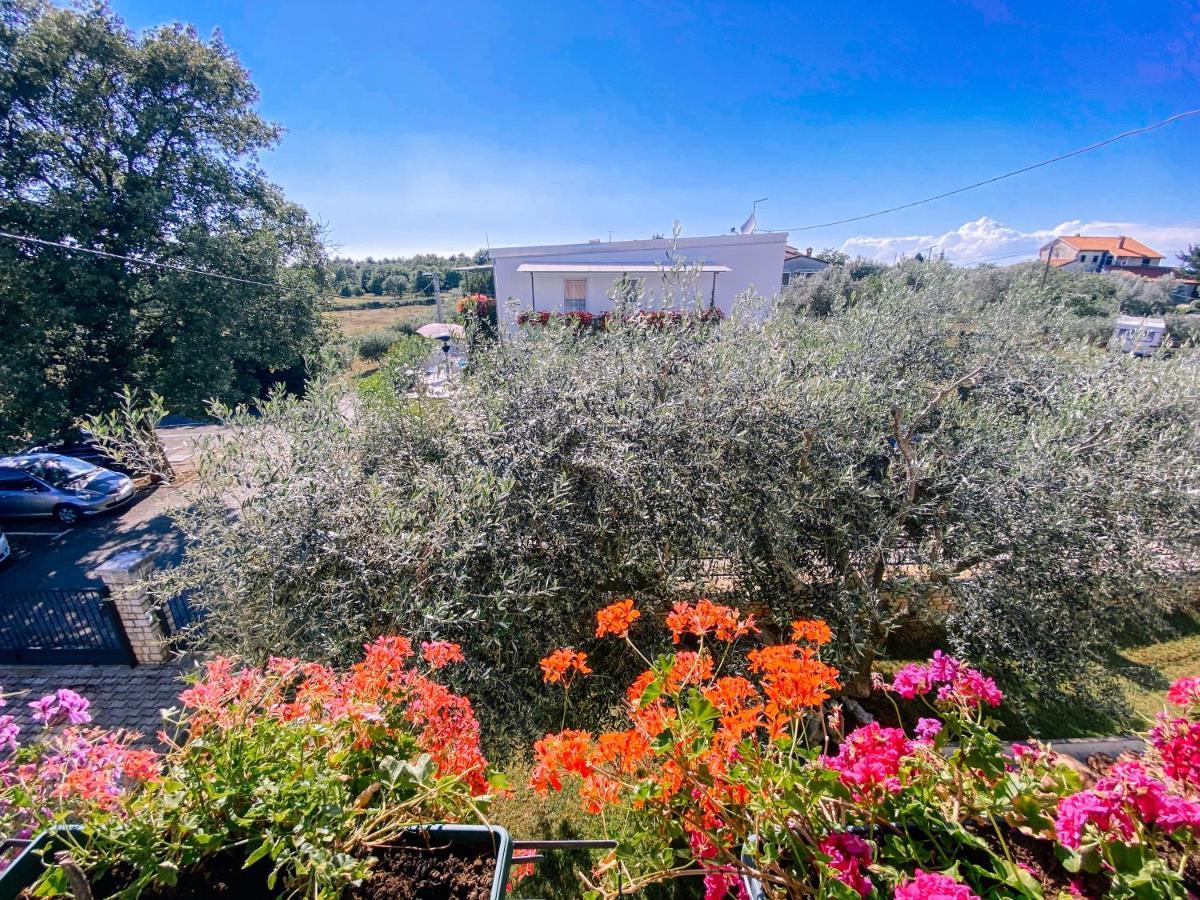 Guest House Sosi Ουμάγκ Εξωτερικό φωτογραφία