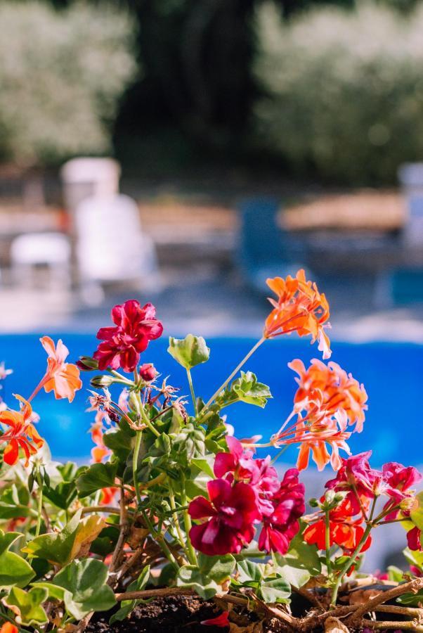 Guest House Sosi Ουμάγκ Εξωτερικό φωτογραφία