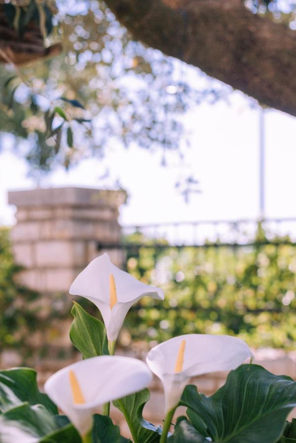 Guest House Sosi Ουμάγκ Εξωτερικό φωτογραφία