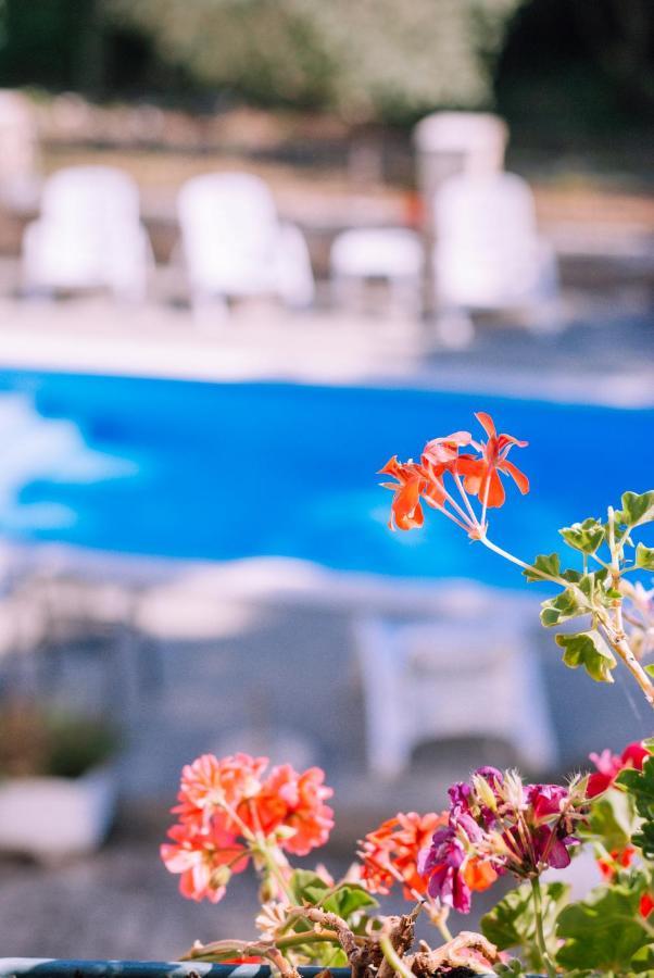 Guest House Sosi Ουμάγκ Εξωτερικό φωτογραφία